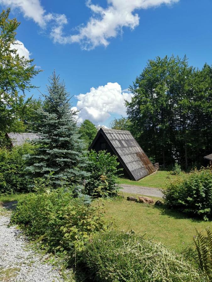 Blockhaus Am Twistesee Mit 3 Schlafzimmern Бад-Арользен Екстер'єр фото