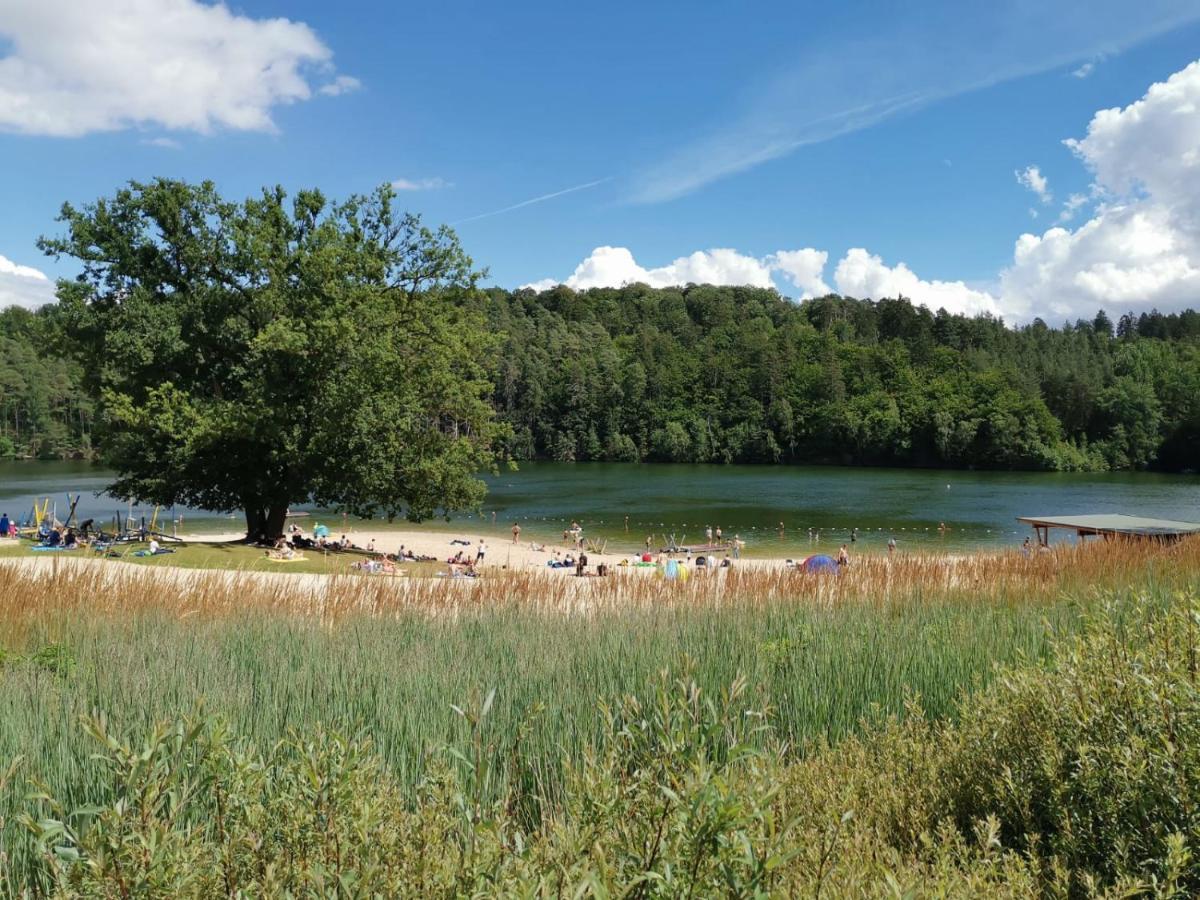 Blockhaus Am Twistesee Mit 3 Schlafzimmern Бад-Арользен Екстер'єр фото